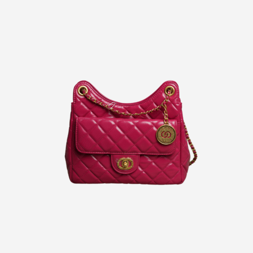 Chanel Bag Small Hobo 25cm - Image 4