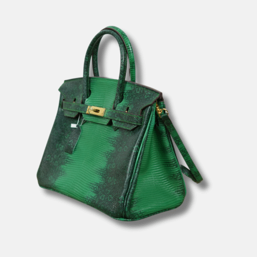 Birkin Bag 30cm Size Lizard Leather - Image 3